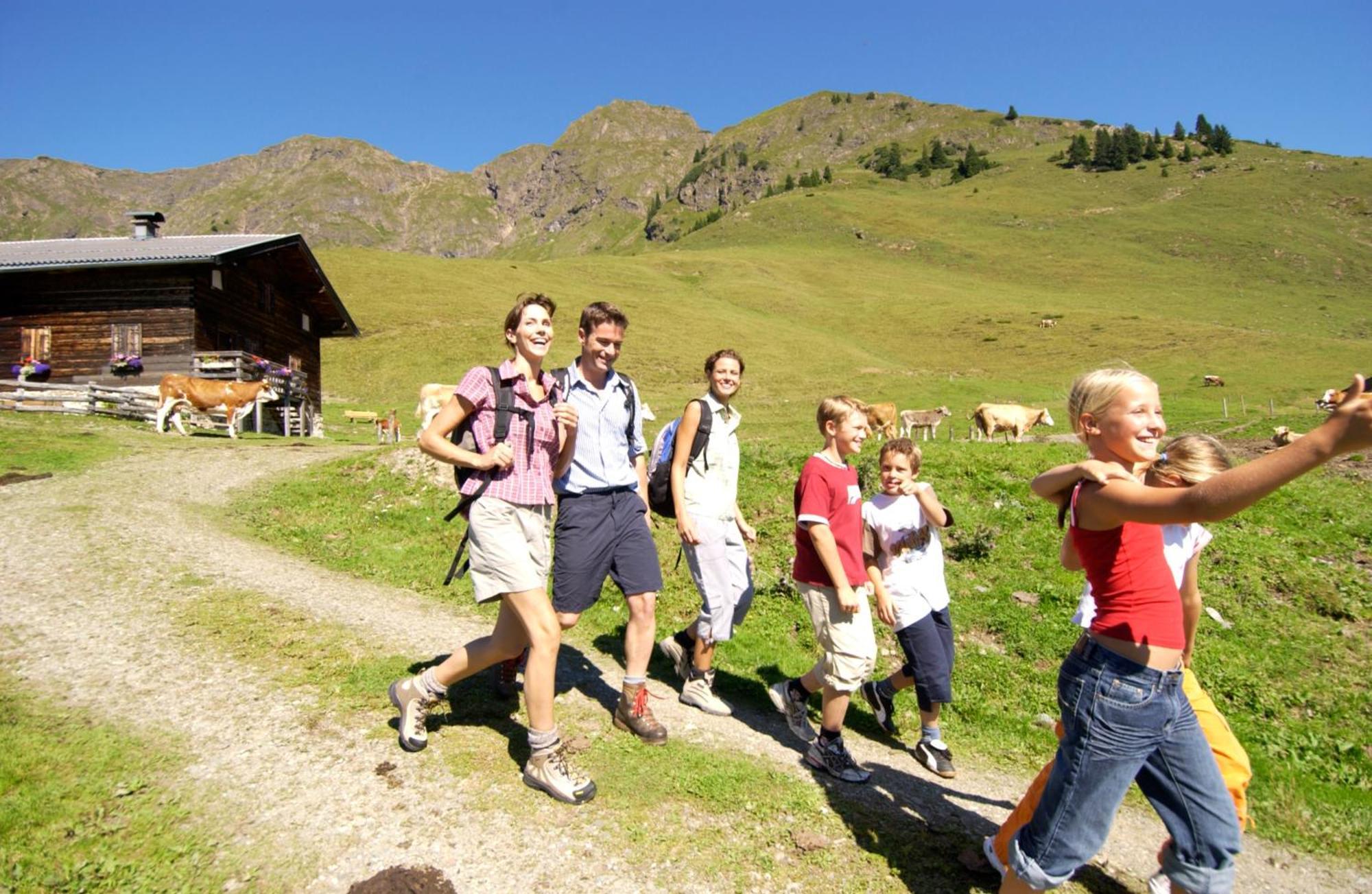 Thomanhof Chalet-Appartement Saalfelden Eksteriør bilde